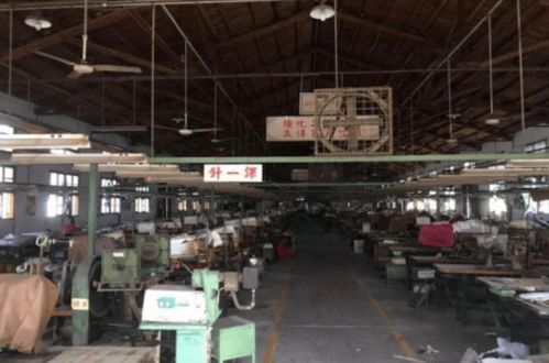 莆田老牌鞋廠3300萬被拍賣，三條成型線背后折射產業轉型之痛